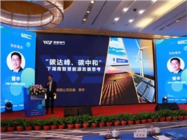 惟遠(yuǎn)能源榮獲“十三五”新能源領(lǐng)軍企業(yè)，獻(xiàn)策“十四五”新能源產(chǎn)業(yè)發(fā)展