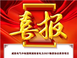 威勝電氣中標(biāo)國(guó)網(wǎng)湖南省電力2021物資協(xié)議庫存項(xiàng)目
