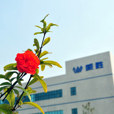 惟遠(yuǎn)人才觀